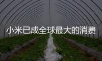 小米已成全球最大的消費級IoT平臺：連接設備數達6.55億臺