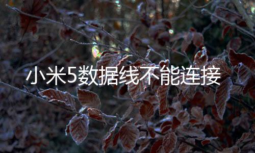 小米5數(shù)據(jù)線不能連接