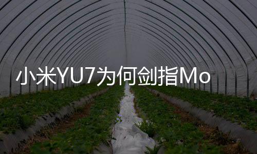 小米YU7為何劍指Model Y 配置與性能全面超越