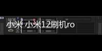 小米 小米12刷機root