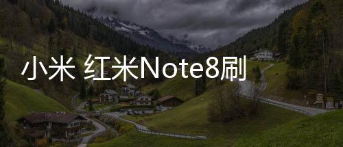 小米 紅米Note8刷機(jī)軟件