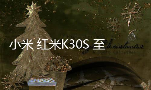 小米 紅米K30S 至尊紀(jì)念版手機(jī)刷機(jī)軟件