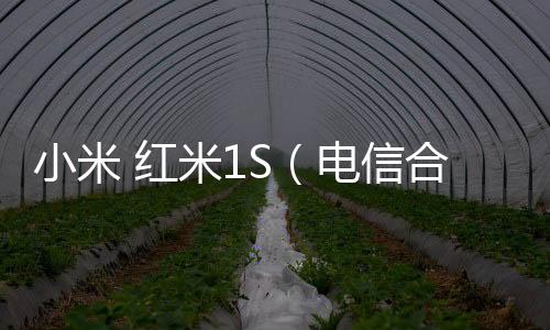 小米 紅米1S（電信合約）刷機(jī)root