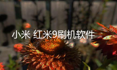 小米 紅米9刷機(jī)軟件