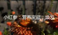 小紅參：營養寶藏，煥發美麗與活力！