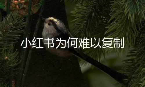 小紅書為何難以復制