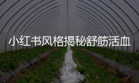 小紅書風格揭秘舒筋活血膠囊的副作用真相！