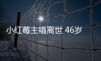 小紅莓主唱離世 46歲的她就這么悄然離去