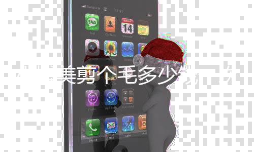 小博美剪個毛多少錢一次(小博美剪個毛多少錢一個)