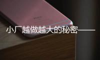 小廠越做越大的秘密——互聯網成趨勢 先行者先得益
