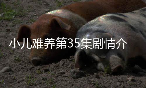 小兒難養第35集劇情介紹