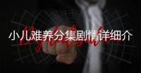 小兒難養分集劇情詳細介紹第3集