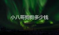 小八哥狗狗多少錢