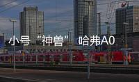 小號“神獸” 哈弗A07實車諜照曝光