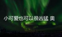 小可愛也可以很兇猛 奧迪A1新老車型對比