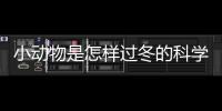 小動物是怎樣過冬的科學，小動物是怎樣過冬的