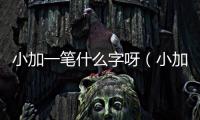 小加一筆什么字呀（小加一筆是什么字啊）