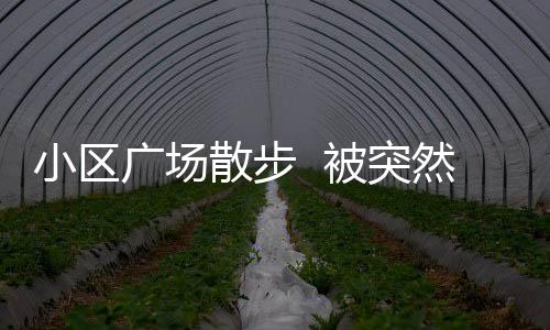 小區廣場散步  被突然躥出的小狗嚇住摔傷