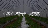 小區廣場散步  被突然躥出的小狗嚇住摔傷