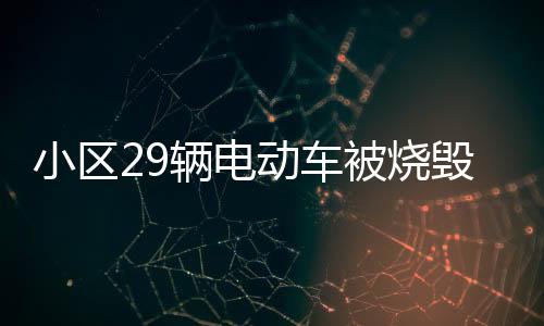 小區(qū)29輛電動車被燒毀 疑因未成年人玩火