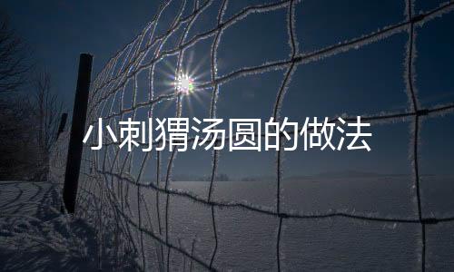 小刺猬湯圓的做法