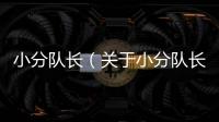 小分隊長（關于小分隊長的基本情況說明介紹）