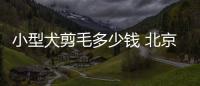 小型犬剪毛多少錢 北京生產  小狗剪毛價格