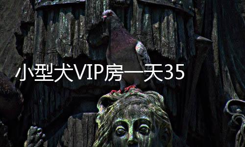 小型犬VIP房一天357元？春節(jié)臨近寵物寄養(yǎng)價格普遍上漲