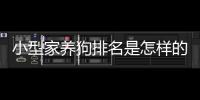 小型家養狗排名是怎樣的？ 家養狗價格排名