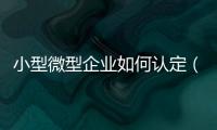 小型微型企業如何認定（小型微型企業）