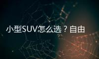 小型SUV怎么選？自由俠/繽智/XR