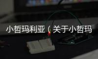 小哲瑪利亞（關于小哲瑪利亞的基本情況說明介紹）