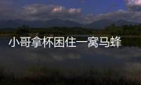 小哥拿杯困住一窩馬蜂 下一步咋辦 網(wǎng)友獻(xiàn)策集錦