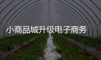 小商品城升級電子商務 “義烏購”鎖定千億級平臺