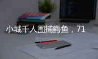 小城千人圍捕鱷魚，71條已全部查明和追回