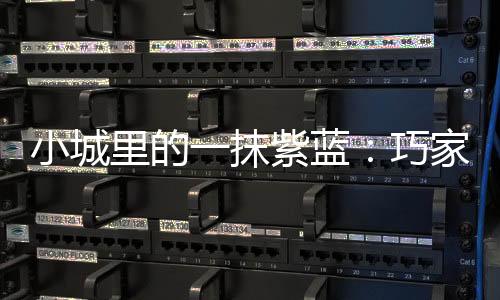 小城里的一抹紫藍：巧家藍花楹綻放