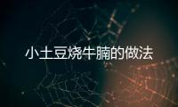 小土豆燒牛腩的做法