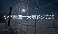小體泰迪一天喂多少克狗糧合適  小體泰迪一天喂多少克狗糧啊