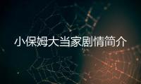 小保姆大當家劇情簡介