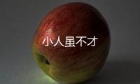 小人雖不才