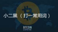 小二黑 （打一常用詞）