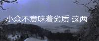 小眾不意味著劣質 這兩款車不輸于主流車型