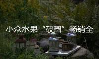小眾水果“破圈”暢銷全國——新疆沙棘產業發展情況調查