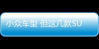 小眾車型 但這幾款SUV勝在經濟又實惠
