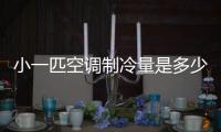 小一匹空調制冷量是多少（小一匹空調）