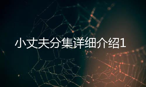 小丈夫分集詳細介紹1