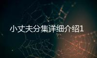 小丈夫分集詳細介紹1