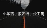 小東西，很團結，分工明確建筑家。 （打一昆蟲）