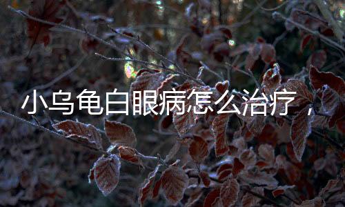小烏龜白眼病怎么治療，烏龜白眼病如何治療