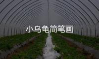 小烏龜簡筆畫